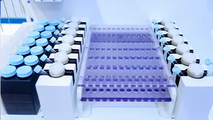 Two groups independent design